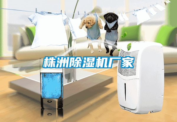 株洲草莓视频APP在线观看厂家
