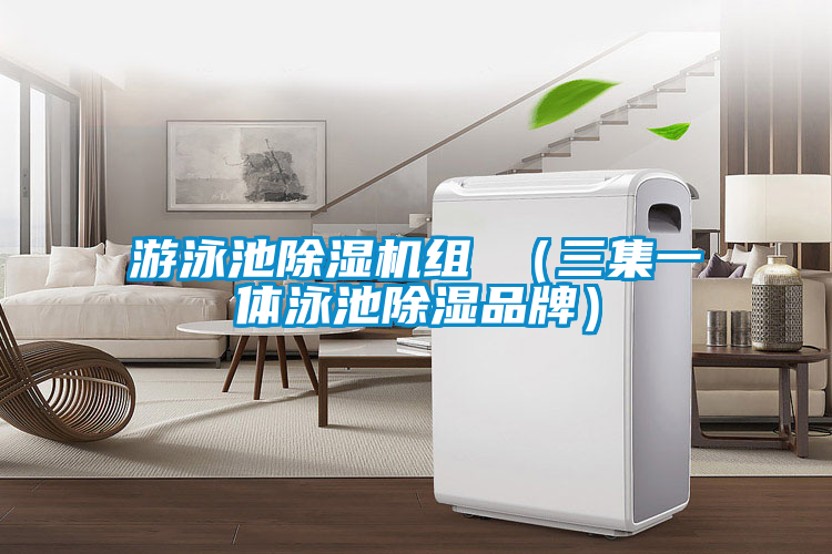 游泳池草莓视频APP在线观看组 （三集一体泳池除湿品牌）