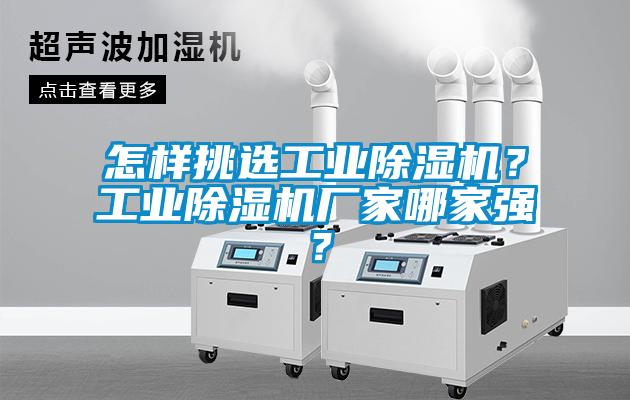 怎样挑选工业草莓视频APP在线观看？工业草莓视频APP在线观看厂家哪家强？
