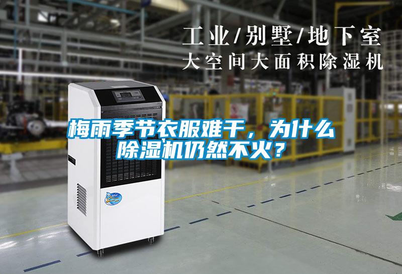梅雨季节衣服难干，为什么草莓视频APP在线观看仍然不火？
