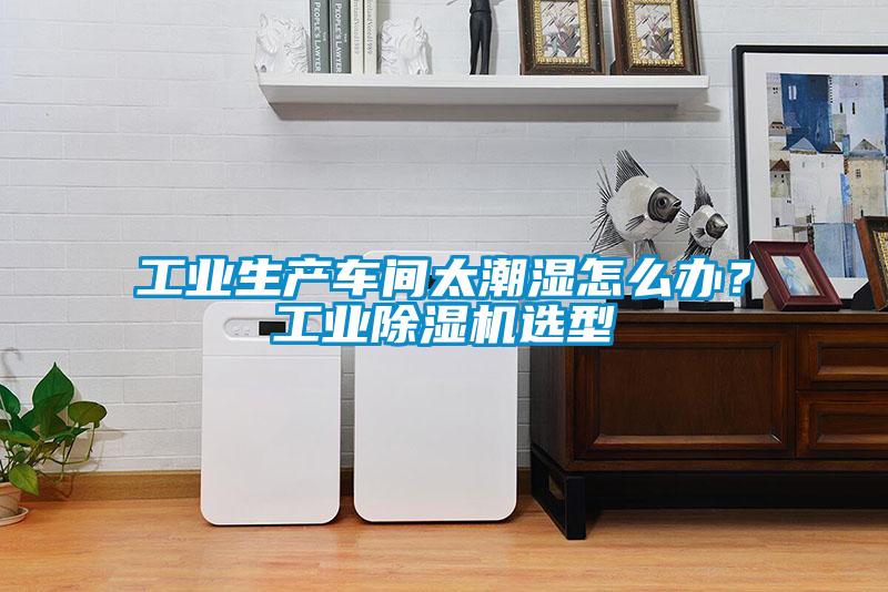 工业生产车间太潮湿怎么办？工业草莓视频APP在线观看选型