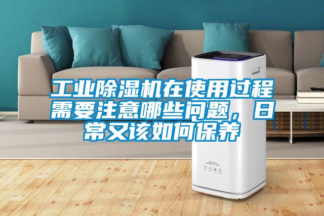 工业草莓视频APP在线观看在使用过程需要注意哪些问题，日常又该如何保养