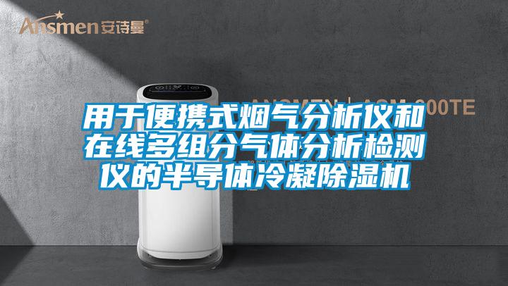 用于便携式烟气分析仪和在线多组分气体分析检测仪的半导体冷凝草莓视频APP在线观看