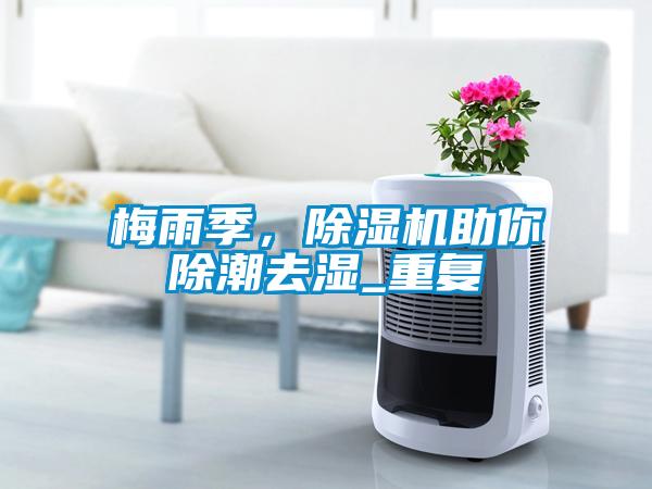 梅雨季，草莓视频APP在线观看助你除潮去湿_重复