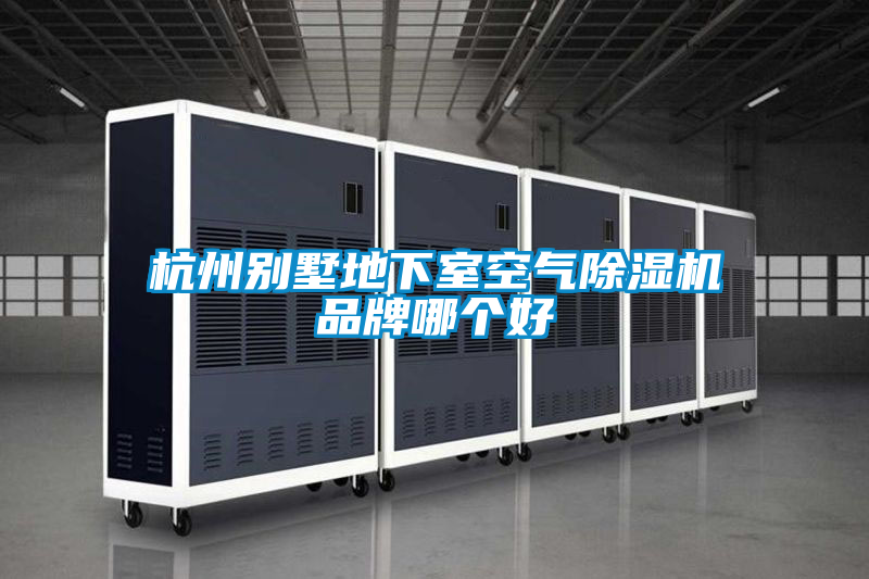 杭州别墅地下室空气草莓视频APP在线观看品牌哪个好
