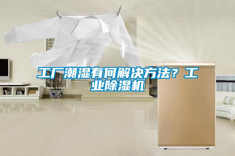 工厂潮湿有何解决方法？工业草莓视频APP在线观看