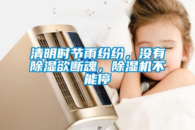清明时节雨纷纷，没有除湿欲断魂，草莓视频APP在线观看不能停