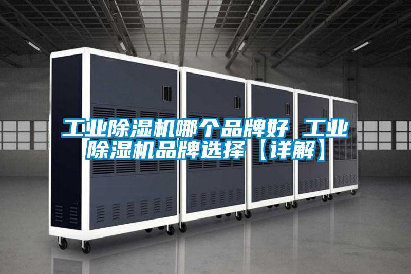 工业草莓视频APP在线观看哪个品牌好 工业草莓视频APP在线观看品牌选择【详解】