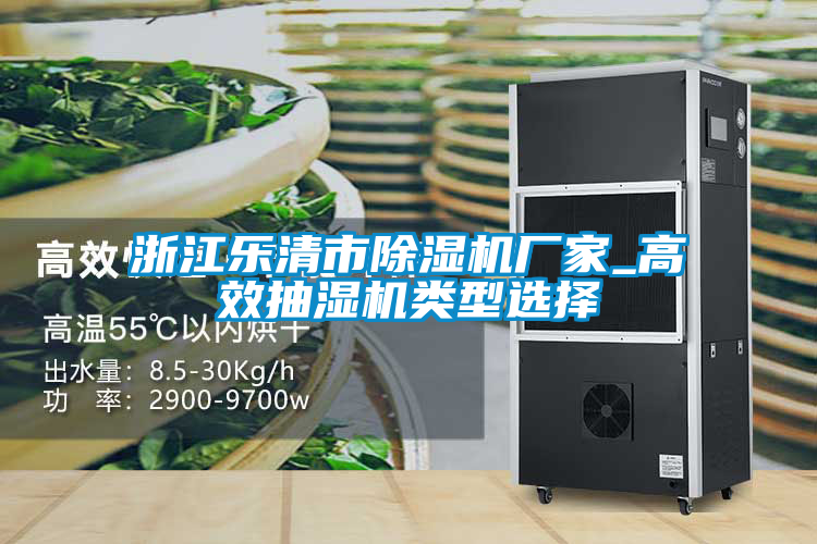 浙江乐清市草莓视频APP在线观看厂家_高效抽湿机类型选择