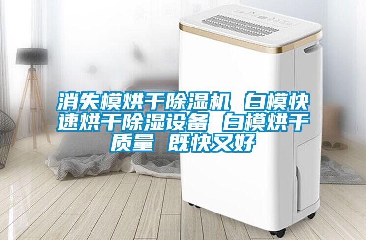 消失模烘干草莓视频APP在线观看 白模快速烘干除湿设备 白模烘干质量 既快又好
