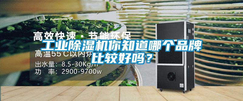 工业草莓视频APP在线观看你知道哪个品牌比较好吗？