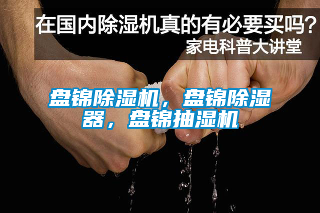 盘锦草莓视频APP在线观看，盘锦除湿器，盘锦抽湿机