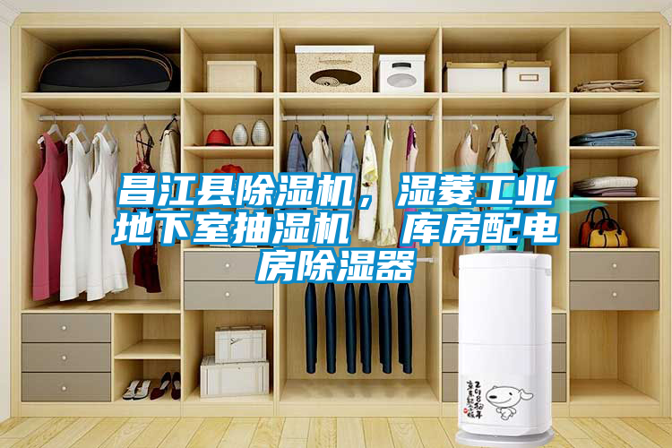 昌江县草莓视频APP在线观看，湿菱工业地下室抽湿机  库房配电房除湿器