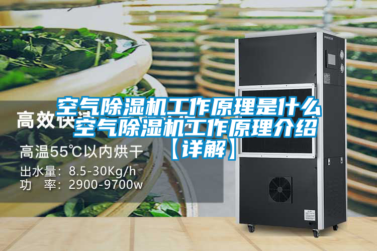 空气草莓视频APP在线观看工作原理是什么 空气草莓视频APP在线观看工作原理介绍【详解】