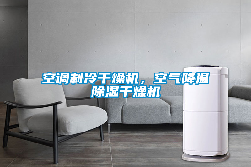 空调制冷干燥机，空气降温除湿干燥机