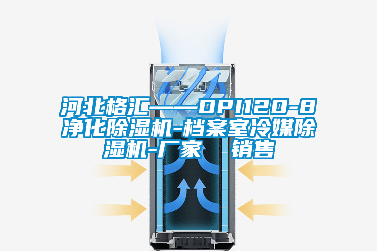 河北格汇——DPI120-8净化草莓视频APP在线观看-档案室冷媒草莓视频APP在线观看-厂家  销售