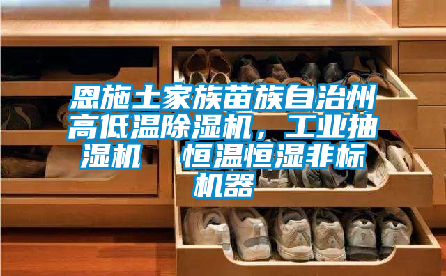 恩施土家族苗族自治州高低温草莓视频APP在线观看，工业抽湿机  恒温恒湿非标机器
