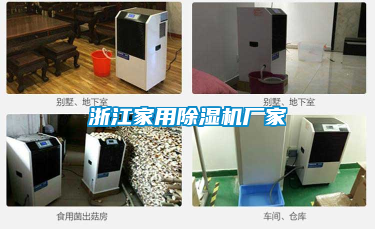 浙江家用草莓视频APP在线观看厂家