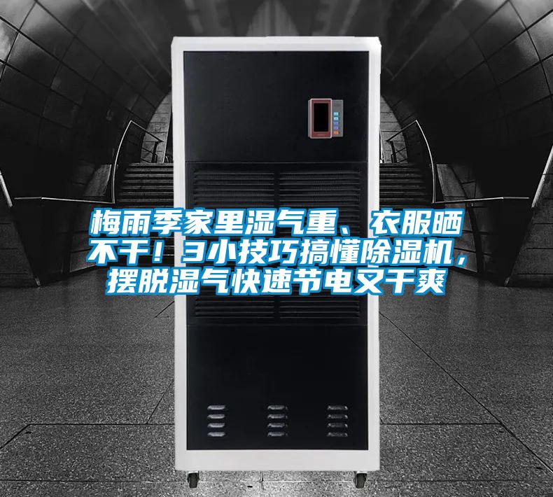 梅雨季家里湿气重、衣服晒不干！3小技巧搞懂草莓视频APP在线观看，摆脱湿气快速节电又干爽