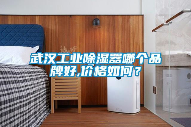 武汉工业除湿器哪个品牌好,价格如何？