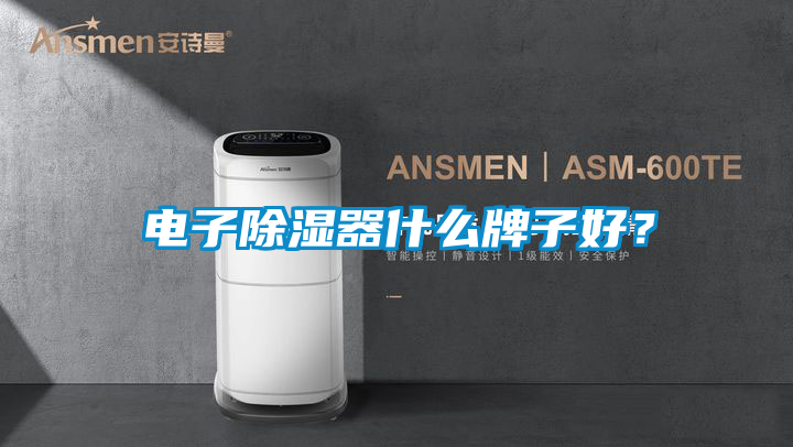 电子除湿器什么牌子好？