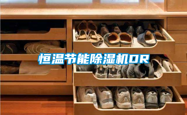 恒温节能草莓视频APP在线观看DR