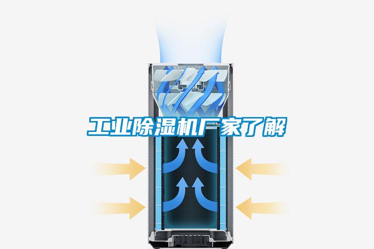 工业草莓视频APP在线观看厂家了解
