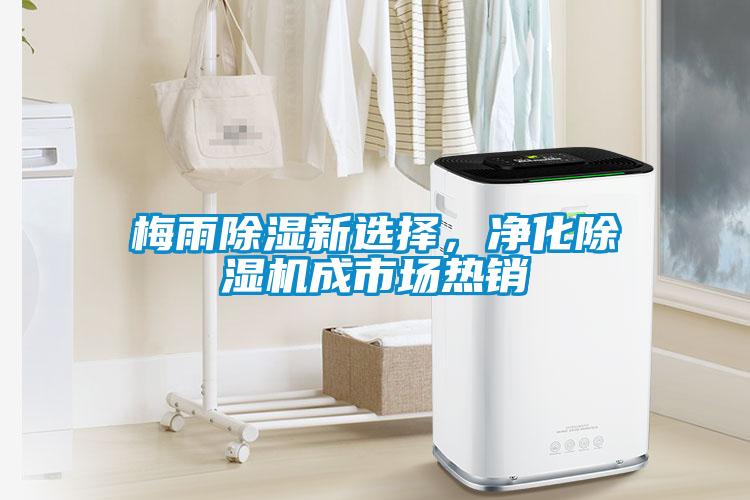 梅雨除湿新选择，净化草莓视频APP在线观看成市场热销