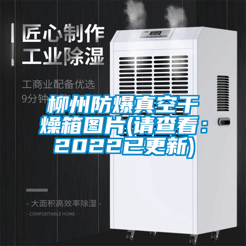 柳州防爆真空干燥箱图片(请查看：2022已更新)