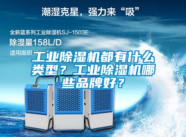工业草莓视频APP在线观看都有什么类型？工业草莓视频APP在线观看哪些品牌好？