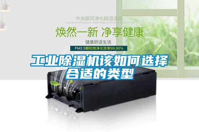 工业草莓视频APP在线观看该如何选择合适的类型
