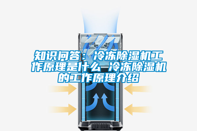 知识问答：冷冻草莓视频APP在线观看工作原理是什么 冷冻草莓视频APP在线观看的工作原理介绍