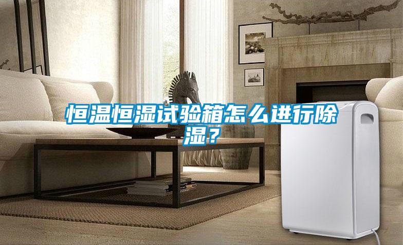 恒温恒湿试验箱怎么进行除湿？