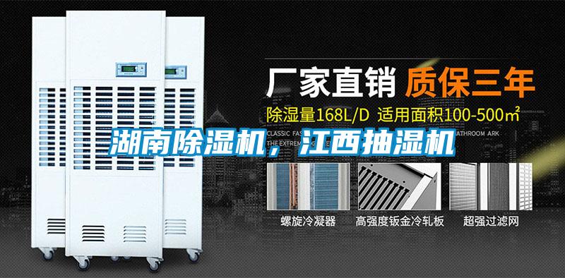 湖南草莓视频APP在线观看，江西抽湿机