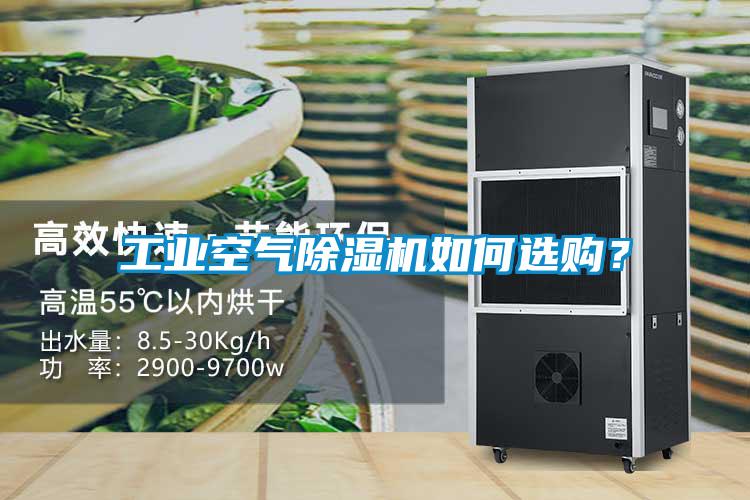 工业空气草莓视频APP在线观看如何选购？