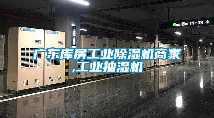 广东库房工业草莓视频APP在线观看商家,工业抽湿机