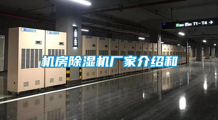 机房草莓视频APP在线观看厂家介绍和
