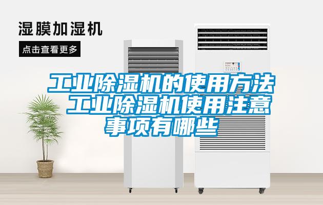 工业草莓视频APP在线观看的使用方法 工业草莓视频APP在线观看使用注意事项有哪些
