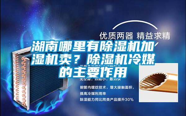 湖南哪里有草莓视频APP在线观看加湿机卖？草莓视频APP在线观看冷媒的主要作用
