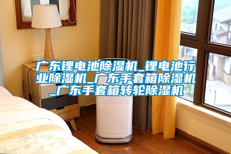 广东锂电池草莓视频APP在线观看_锂电池行业草莓视频APP在线观看_广东手套箱草莓视频APP在线观看_广东手套箱转轮草莓视频APP在线观看