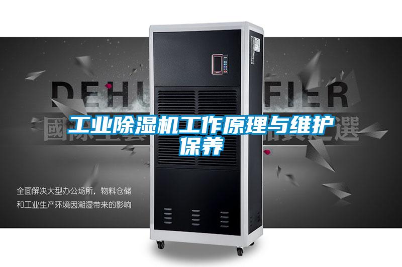 工业草莓视频APP在线观看工作原理与维护保养