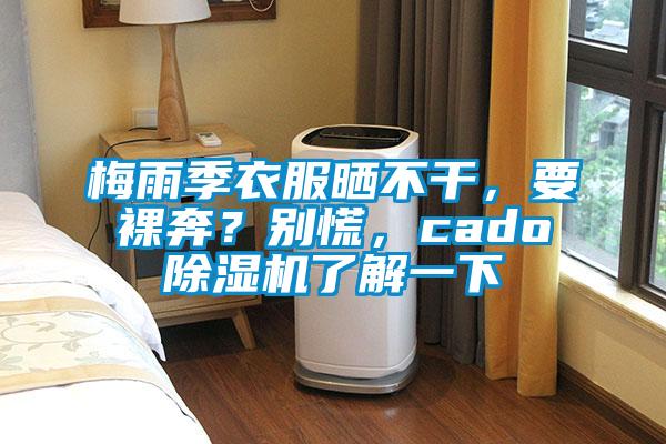梅雨季衣服晒不干，要裸奔？别慌，cado草莓视频APP在线观看了解一下