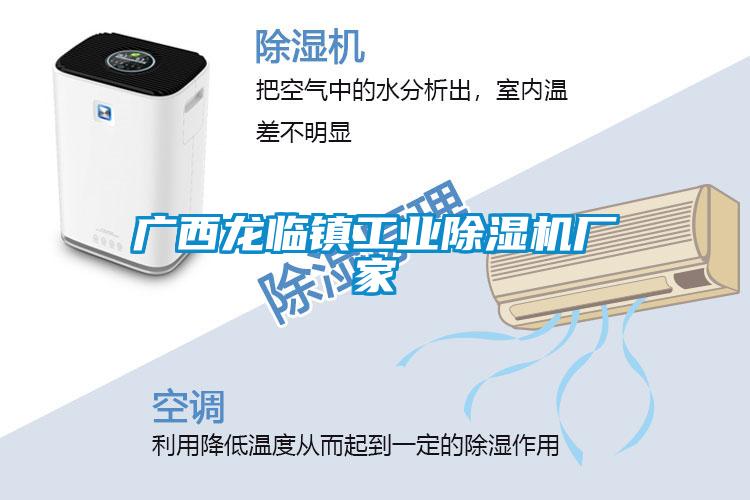 广西龙临镇工业草莓视频APP在线观看厂家