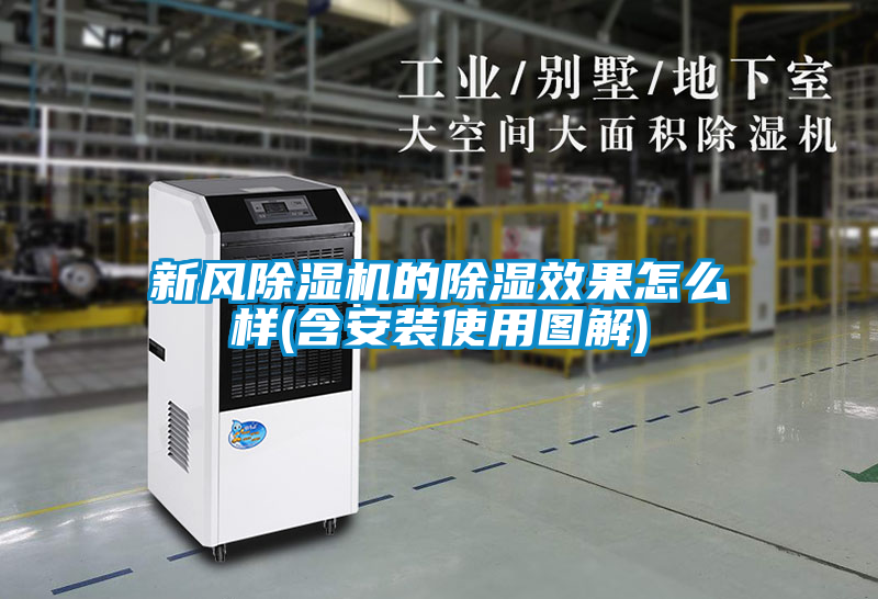 新风草莓视频APP在线观看的除湿效果怎么样(含安装使用图解)