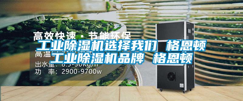 工业草莓视频APP在线观看选择草莓视频污污版 格恩顿工业草莓视频APP在线观看品牌 格恩顿