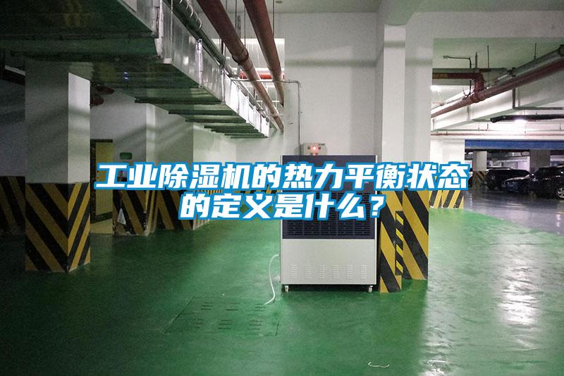 工业草莓视频APP在线观看的热力平衡状态的定义是什么？