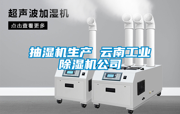 抽湿机生产 云南工业草莓视频APP在线观看公司