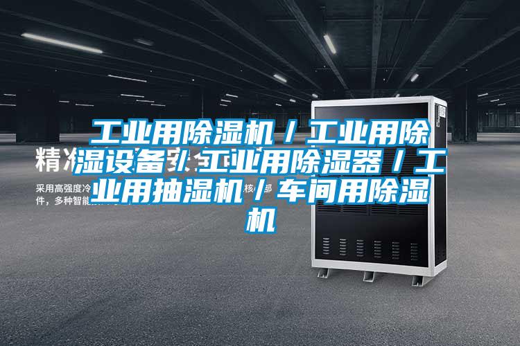工业用草莓视频APP在线观看／工业用除湿设备／工业用除湿器／工业用抽湿机／车间用草莓视频APP在线观看