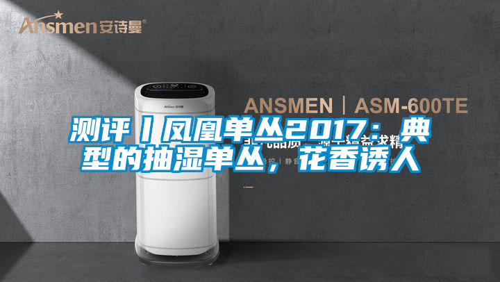 测评丨凤凰单丛2017：典型的抽湿单丛，花香诱人
