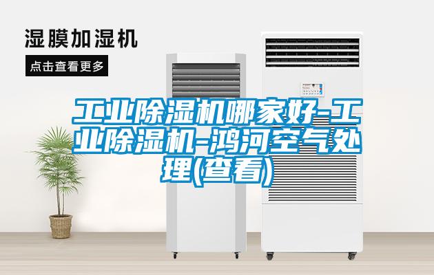 工业草莓视频APP在线观看哪家好-工业草莓视频APP在线观看-鸿河空气处理(查看)